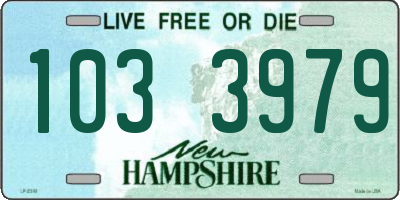 NH license plate 1033979