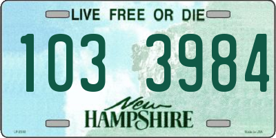 NH license plate 1033984