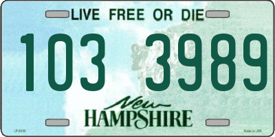 NH license plate 1033989