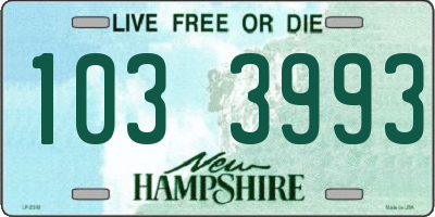 NH license plate 1033993