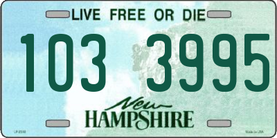 NH license plate 1033995