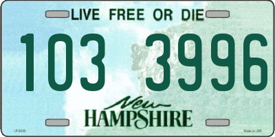 NH license plate 1033996