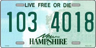 NH license plate 1034018