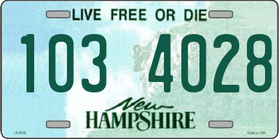 NH license plate 1034028