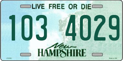 NH license plate 1034029