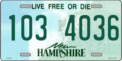 NH license plate 1034036