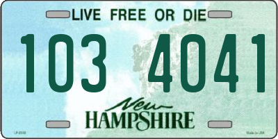 NH license plate 1034041