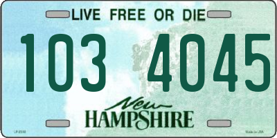 NH license plate 1034045