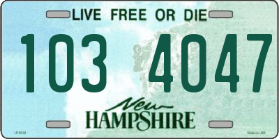 NH license plate 1034047