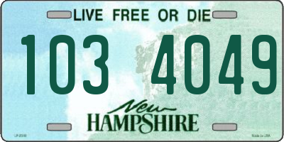 NH license plate 1034049