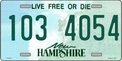 NH license plate 1034054