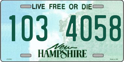 NH license plate 1034058