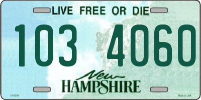 NH license plate 1034060