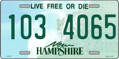 NH license plate 1034065