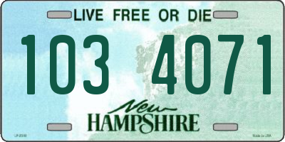 NH license plate 1034071