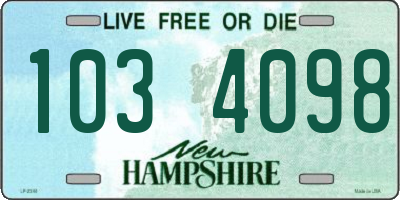 NH license plate 1034098