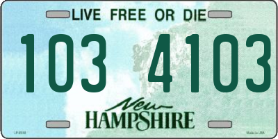 NH license plate 1034103