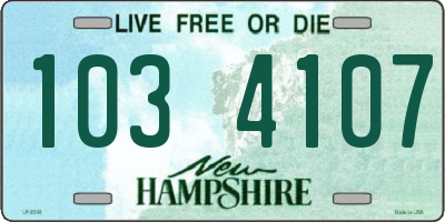 NH license plate 1034107