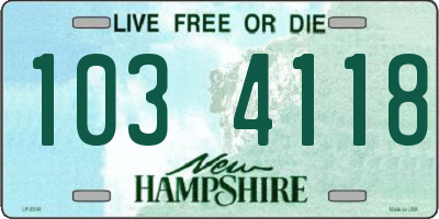 NH license plate 1034118