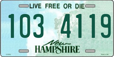 NH license plate 1034119