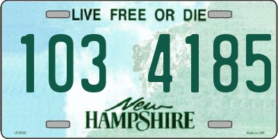 NH license plate 1034185