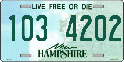 NH license plate 1034202