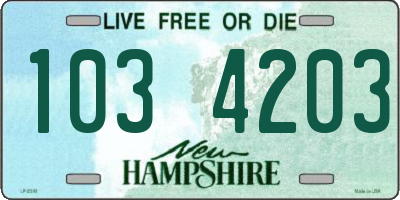 NH license plate 1034203