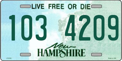 NH license plate 1034209