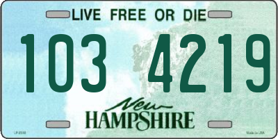 NH license plate 1034219
