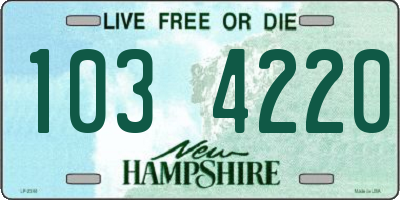 NH license plate 1034220