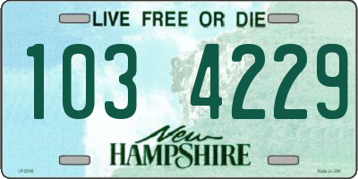 NH license plate 1034229