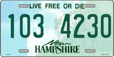NH license plate 1034230