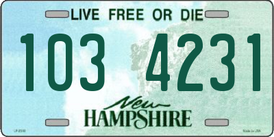 NH license plate 1034231