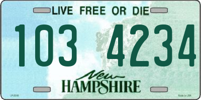 NH license plate 1034234