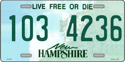NH license plate 1034236