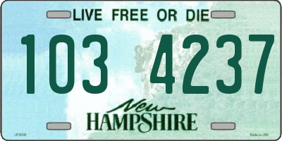 NH license plate 1034237