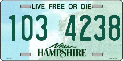 NH license plate 1034238