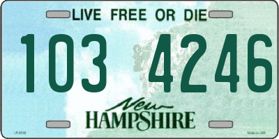 NH license plate 1034246