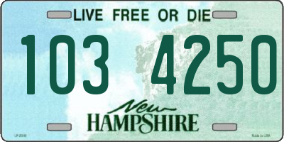 NH license plate 1034250