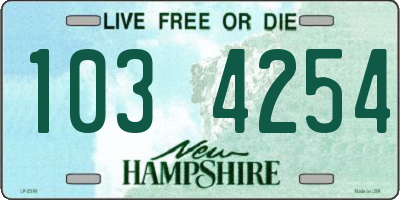 NH license plate 1034254