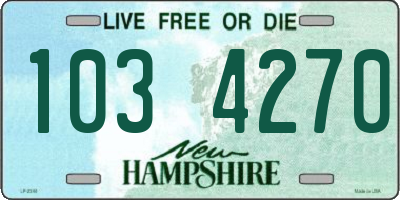 NH license plate 1034270