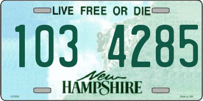 NH license plate 1034285