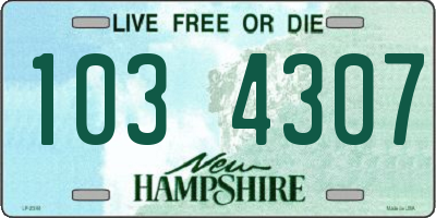 NH license plate 1034307