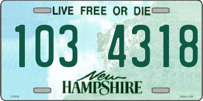 NH license plate 1034318