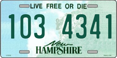 NH license plate 1034341