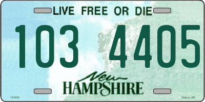 NH license plate 1034405