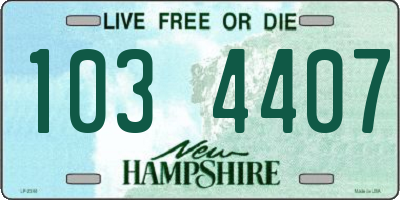 NH license plate 1034407