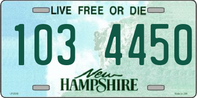 NH license plate 1034450