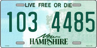 NH license plate 1034485