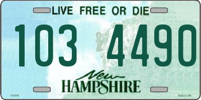 NH license plate 1034490